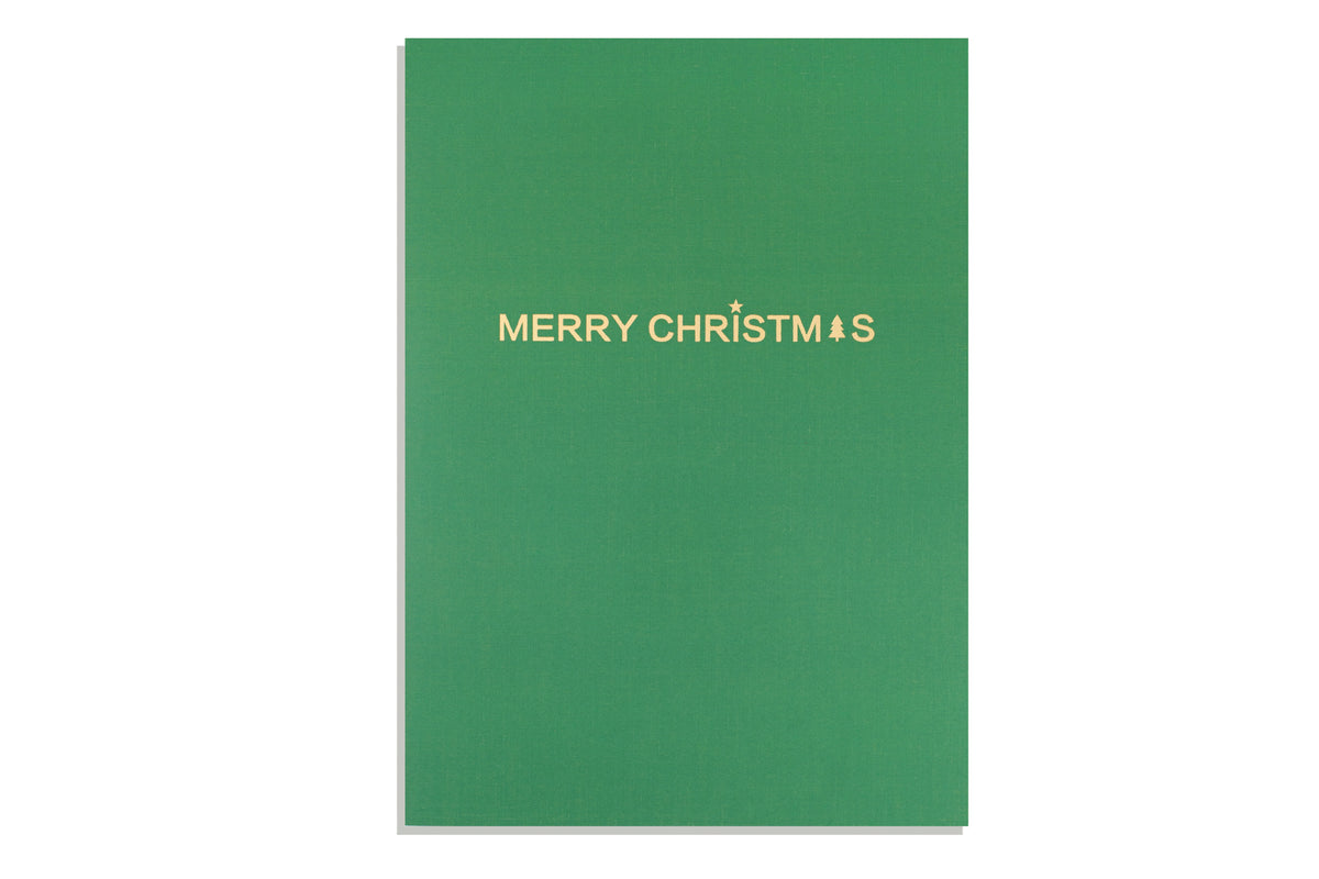 Merry Christmas - Recordable Voice Greeting Card