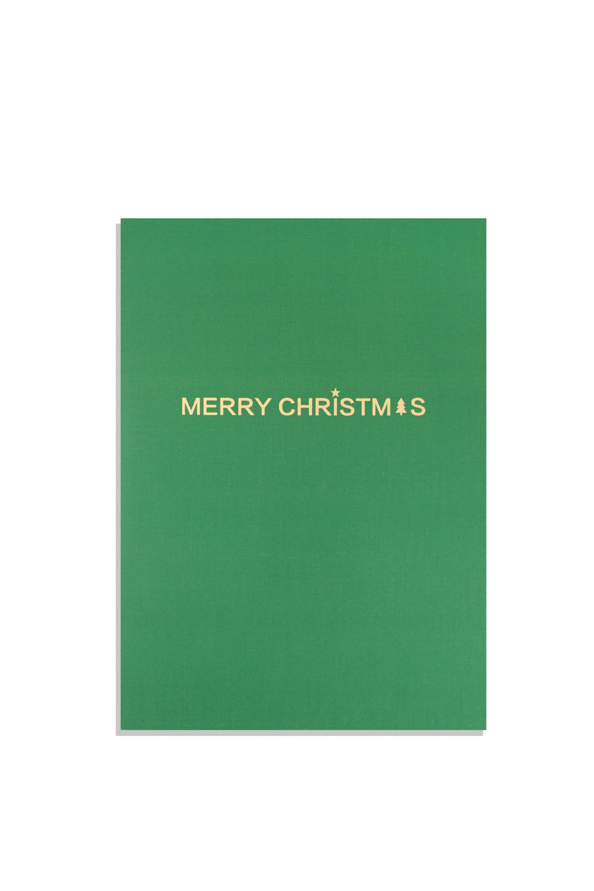 Merry Christmas - Recordable Voice Greeting Card